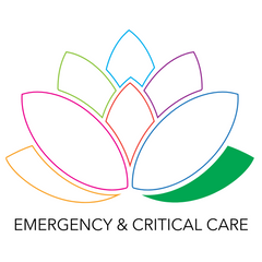 Emergency & Critical Care logo