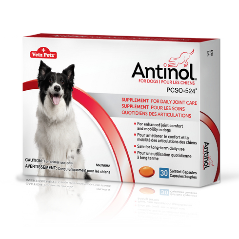 antinol joint supplement