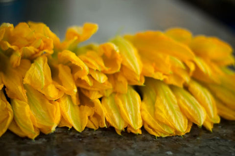 fiori di zucca fritti ciurilli qualcosadite spezie