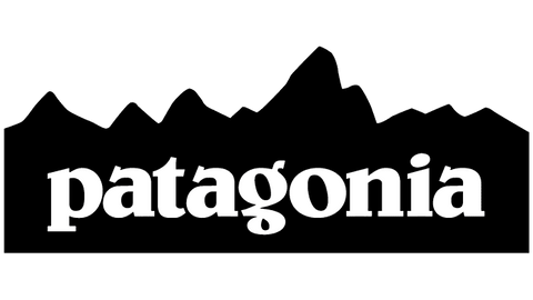 Vintage Patagonia Logo - 1973 to now