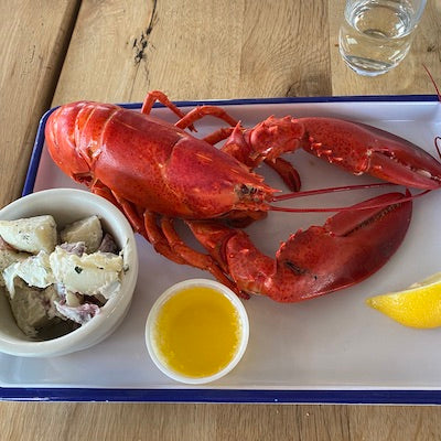 A whole steamed lobster, melted butter, and potato salad on a tray