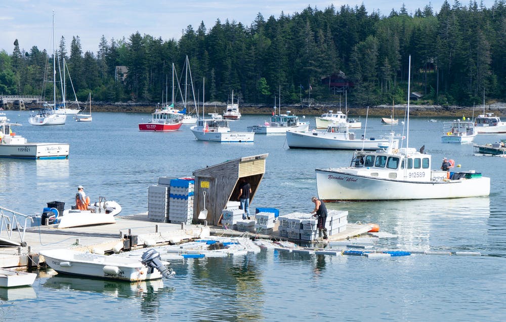 Dragger & Scallop Boats & Crews of Maine