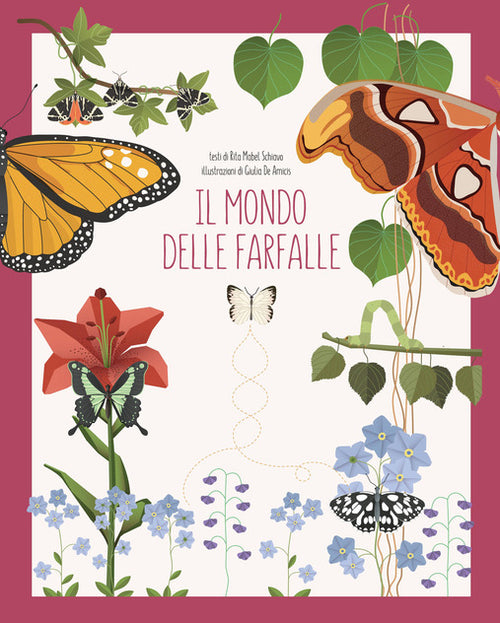 Il mondo delle farfalle – Centroscuola