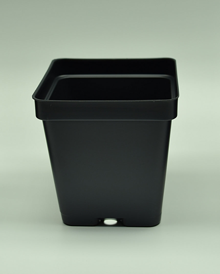  Square  Black Plastic  Pots  Divide and Culture