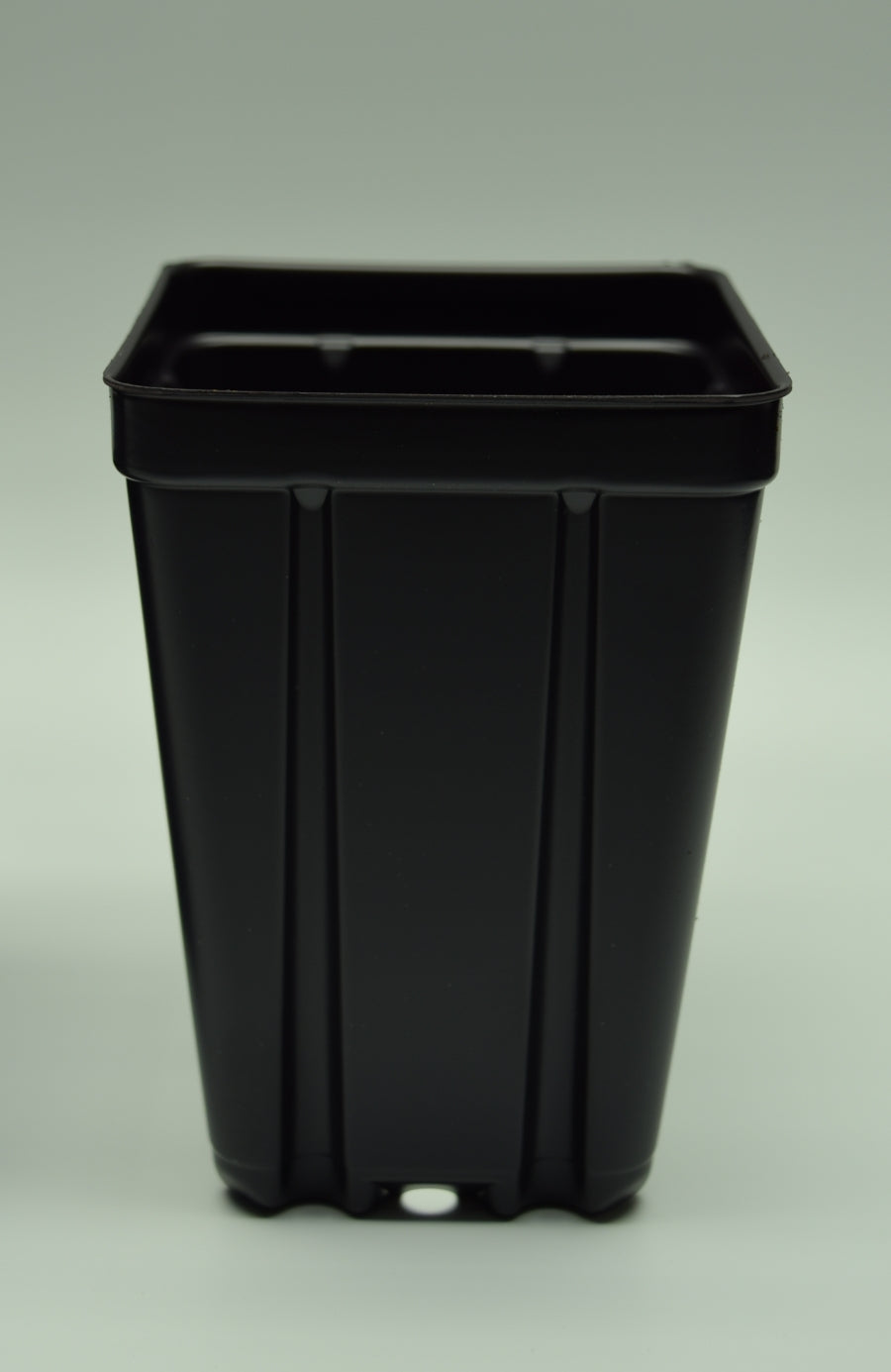  Square  Black Plastic  Pots  Divide and Culture