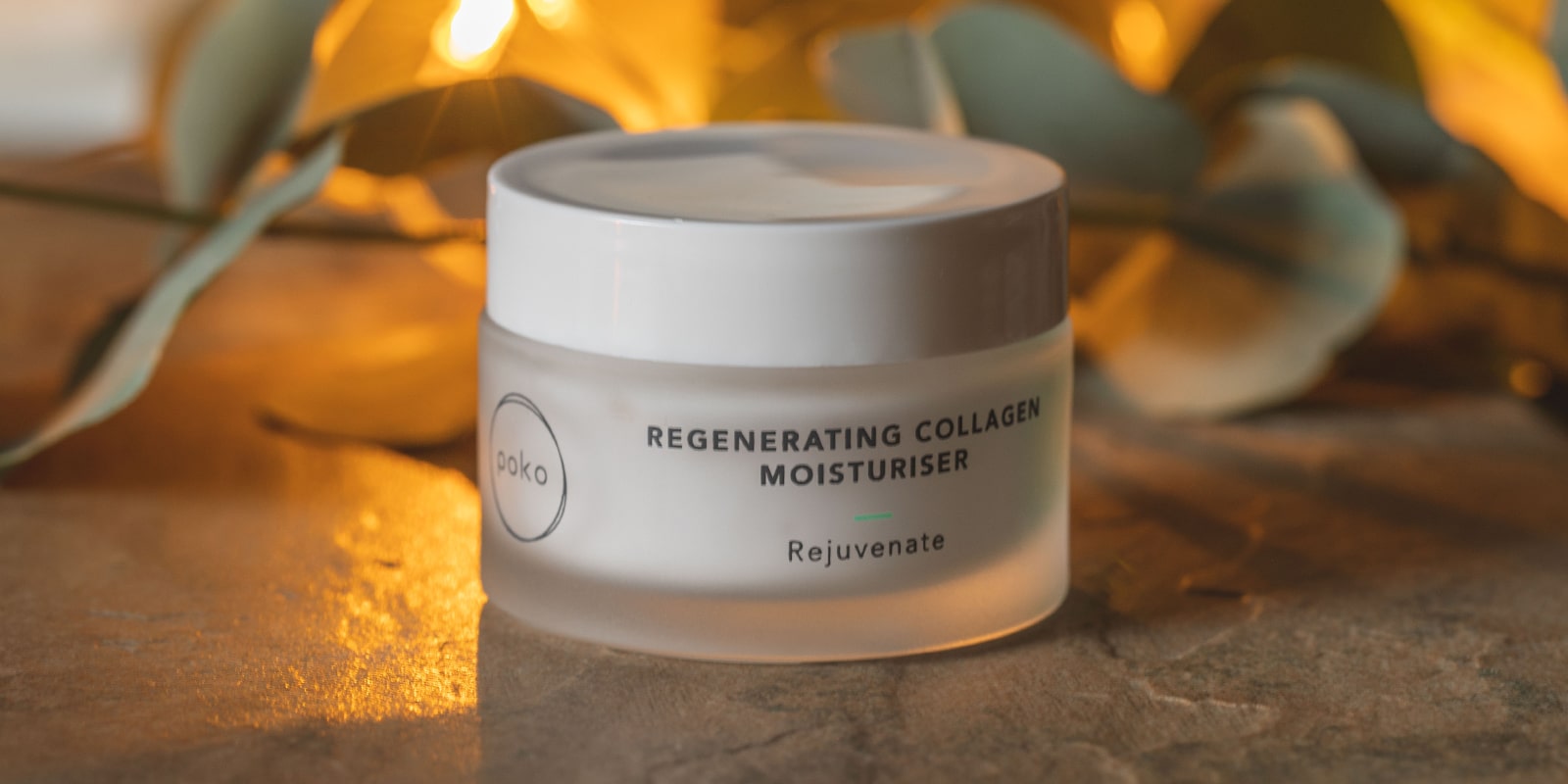 Regenerating Collagen Moisturiser | Poko CBD