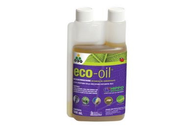 eco organic oil
