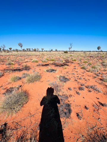 Northern Territory