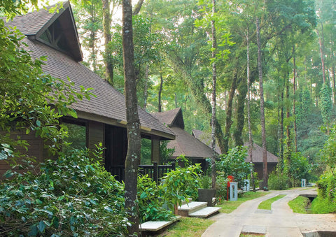 Eco friendly, getaways, coorg