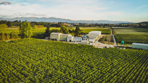 Freestyle Hops in New Zealand.