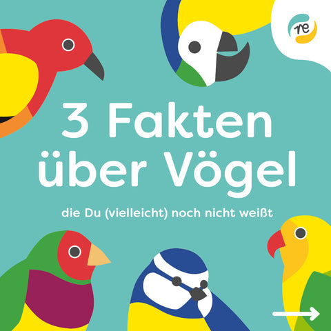 3 Fakten über Vögel