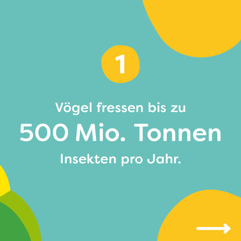 Vögel fressen jährlich 500 Millionen Tonnen Insekten