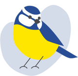 illustrated Blue tit in blue, yellow and white; drawn by Julia