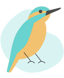 Illustration Kingfisher, Plumage in turquoise & orange