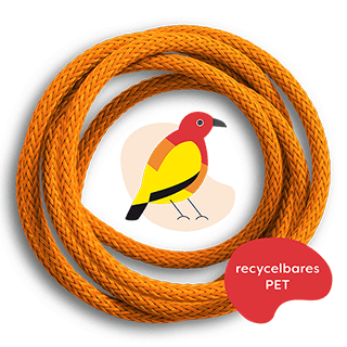 recable Flame bowerbird