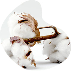 Cotton freshly harvested as raw material for recable cable jackets