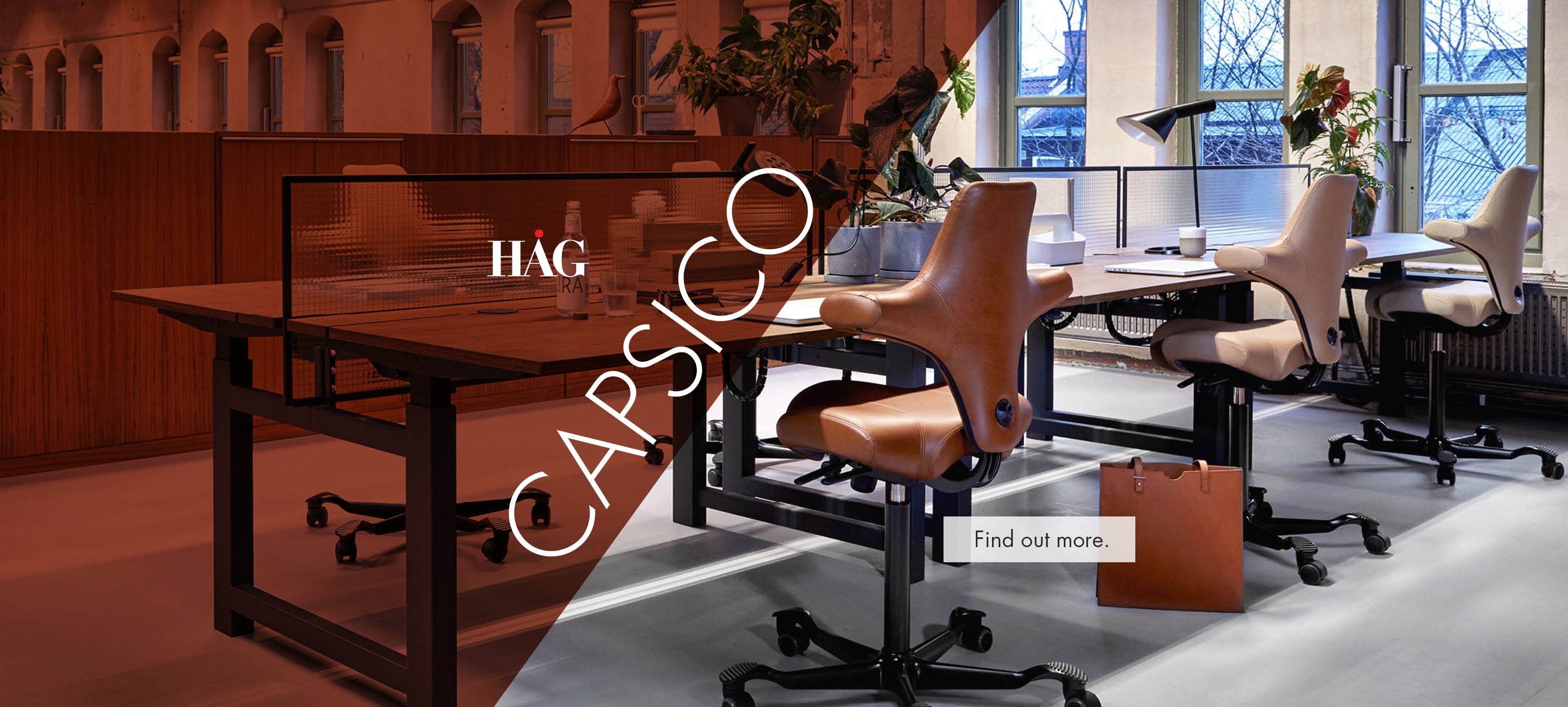 HAG Capisco ergonomic task chairs