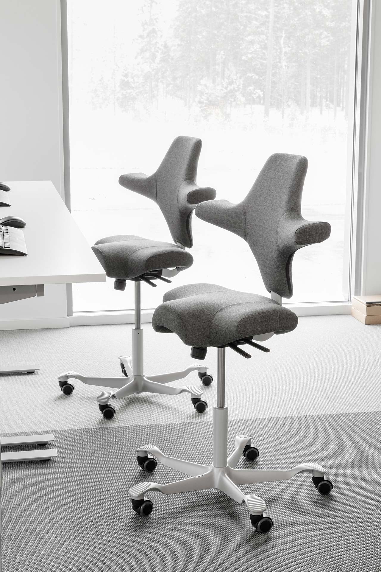 HAG Capisco 8106 Ergonomic Task Chair