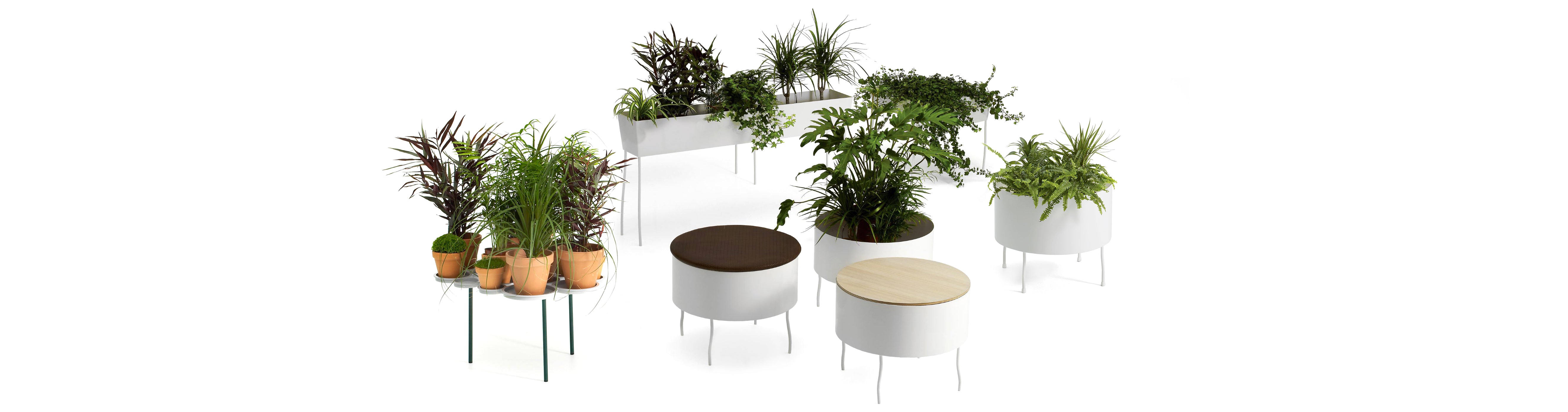 Offecct O2ASIS Green Pedestal Round Plant Stand