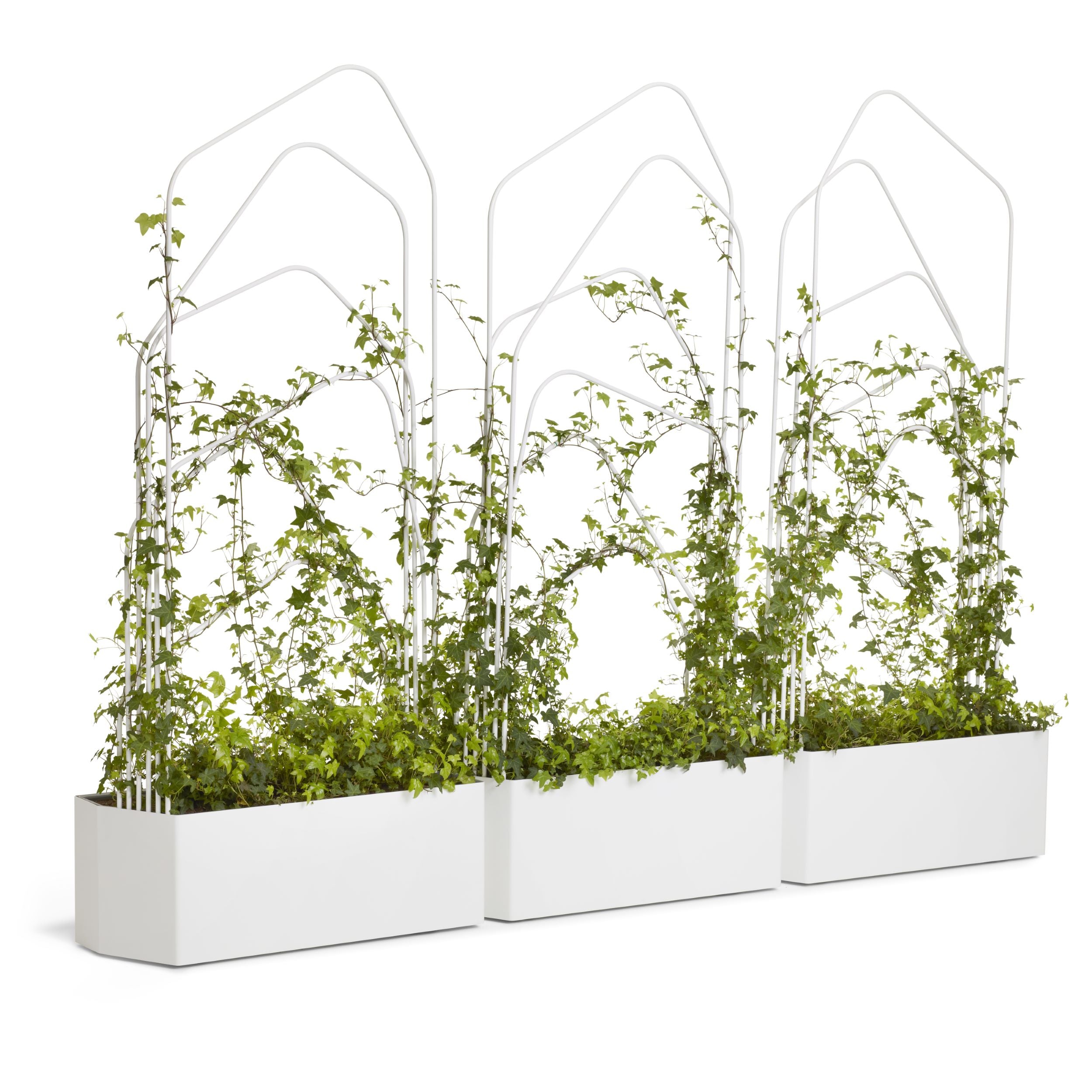 Offecct O2ASIS Green Divider Planter Box