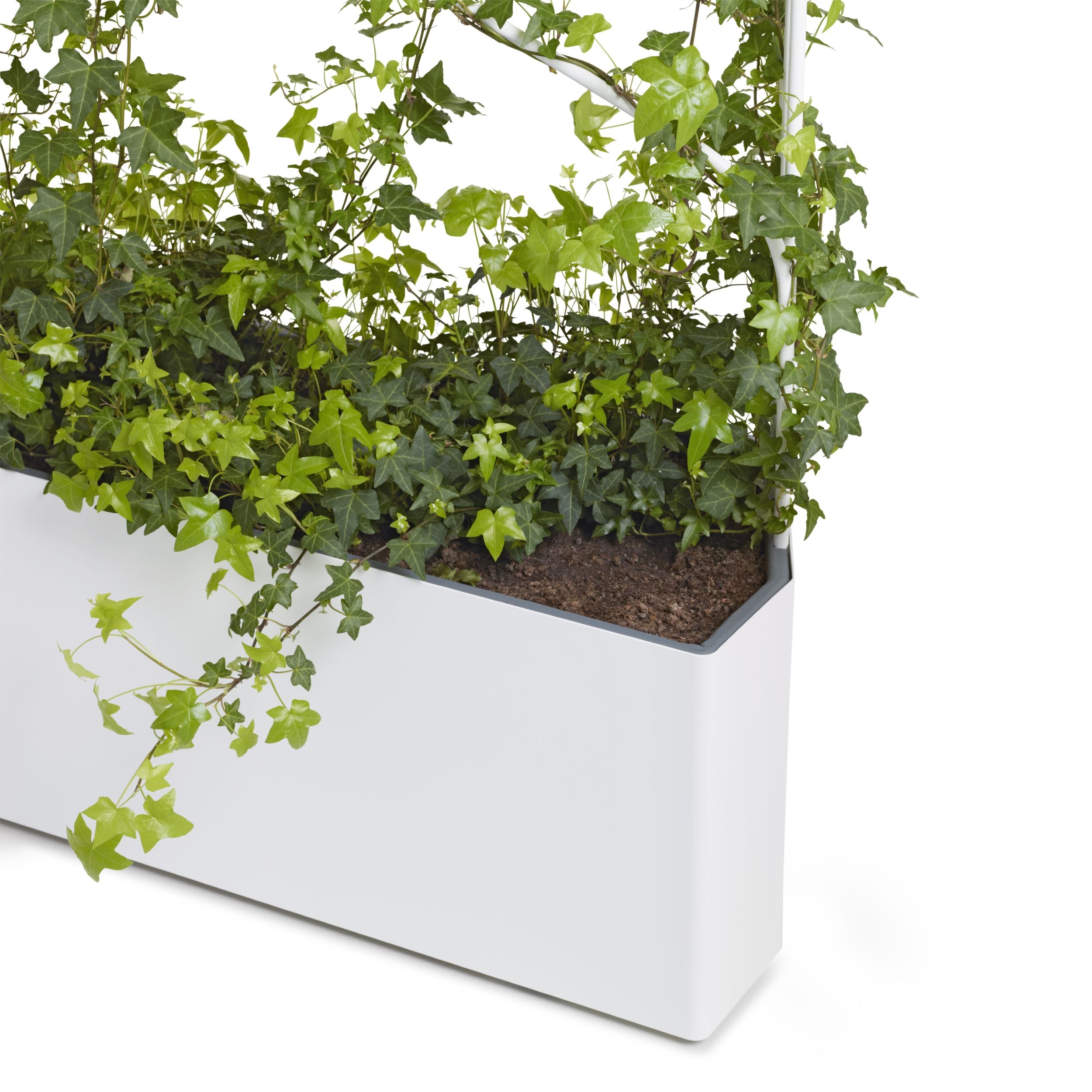 Offecct O2ASIS Green Divider Planter Box