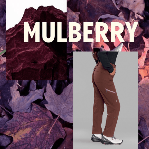 Mulberry Go There Pants