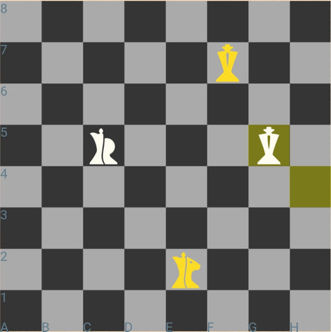 Chess Notation - The Language of the Game 