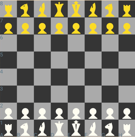 Chess Notation - The Language of the Game