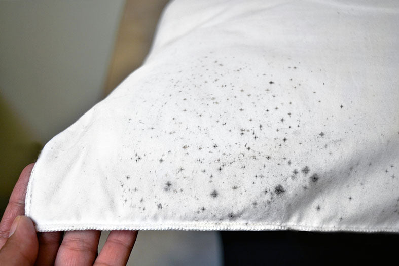 mold spots on pillow