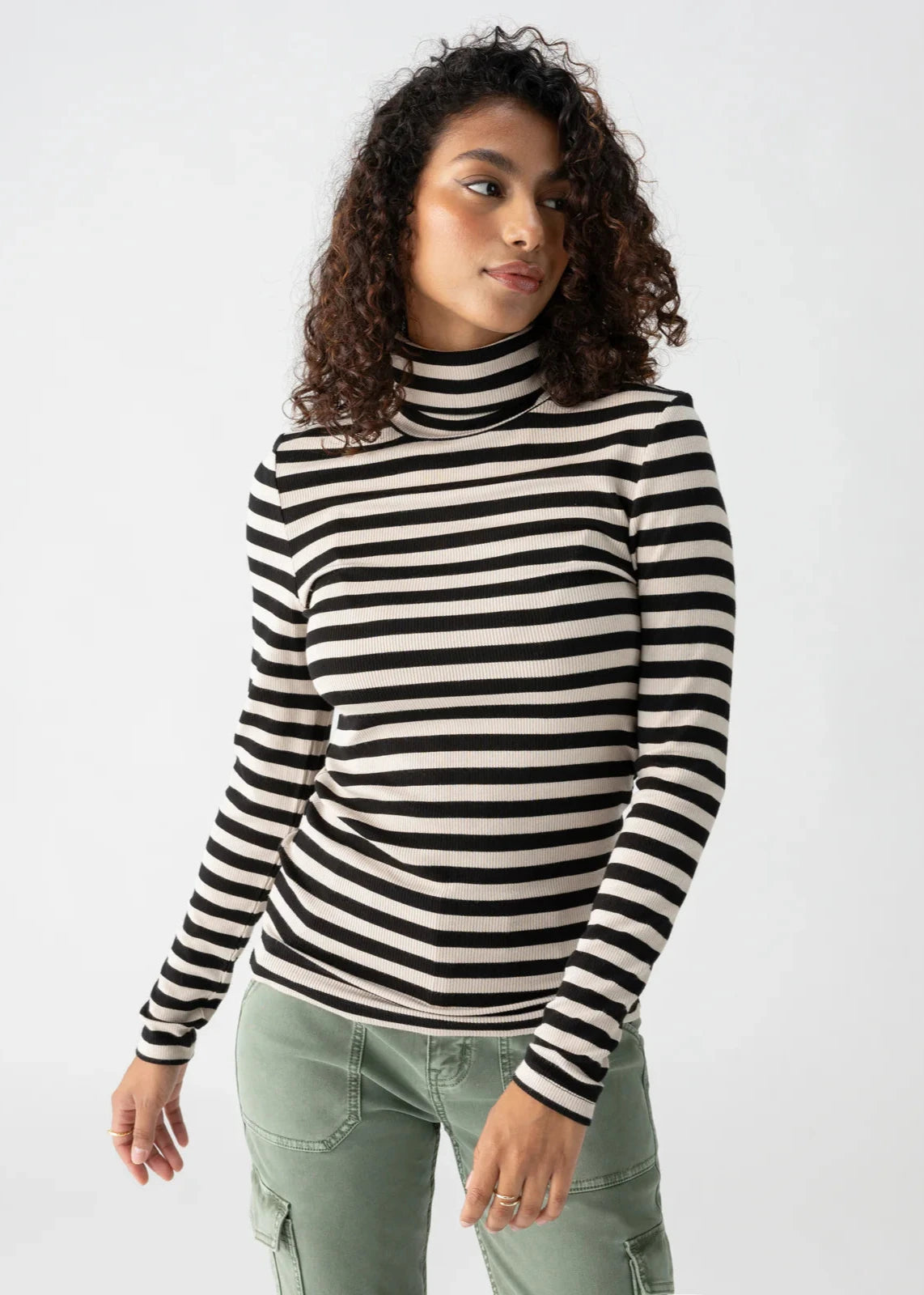 Essential Stripe Turtleneck