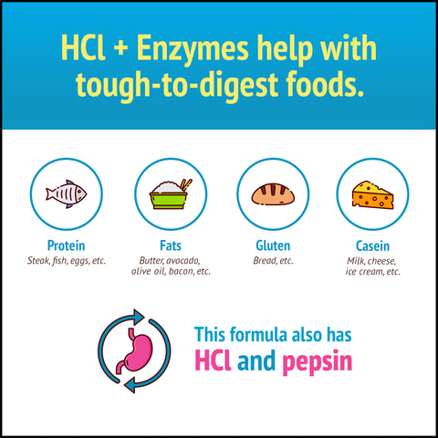 Graphic with foods that Smidge HCl + Enzymes helps break down