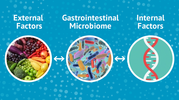 External factors, Gastrointestinal Microbiome and Internal factors