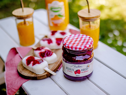 Bâtonnet de glace au yaourt et à la confiture Récolte Fraises