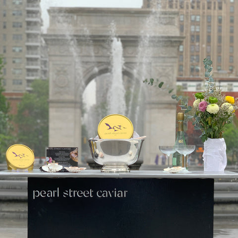 caviar at Washington square park