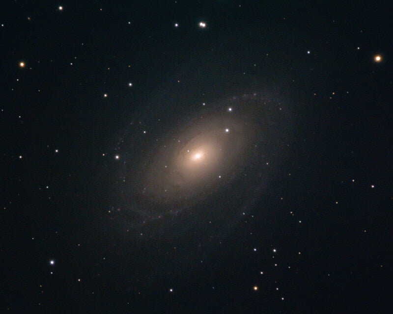 Spiralgalaxie NGC 3031, M81