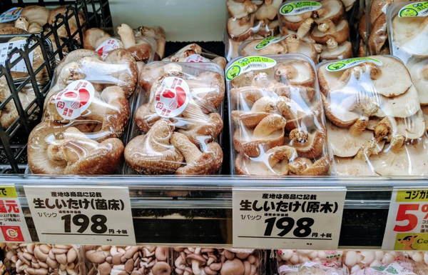 椎茸に 原木椎茸 と 菌床椎茸 があるのをご存知でしょうか 椎茸祭商店 Shiitake Matsuri Shop