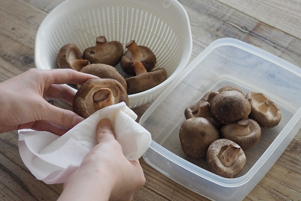 しいたけの保存方法を椎茸屋が解説します 椎茸祭商店 Shiitake Matsuri Shop