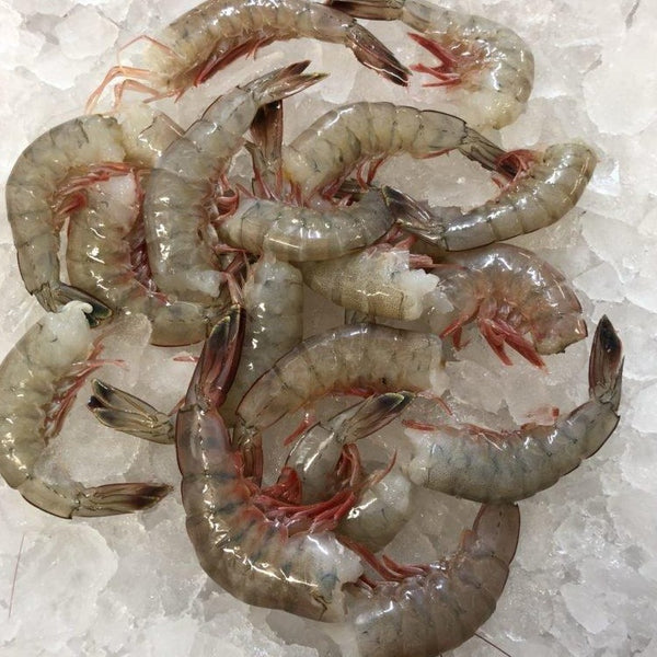 Wild Gulf Of Mexico Raw White Shrimp U15 Count Shell On Head Off 5l Domesticseafood Com