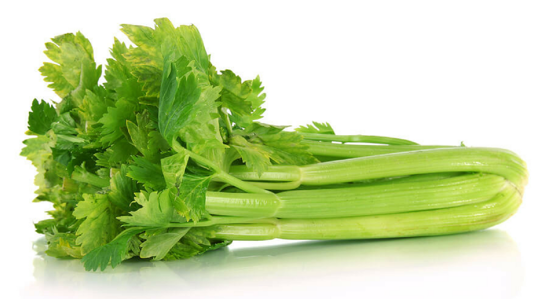 Organic Celery – Valley Organics Worker's Co-op