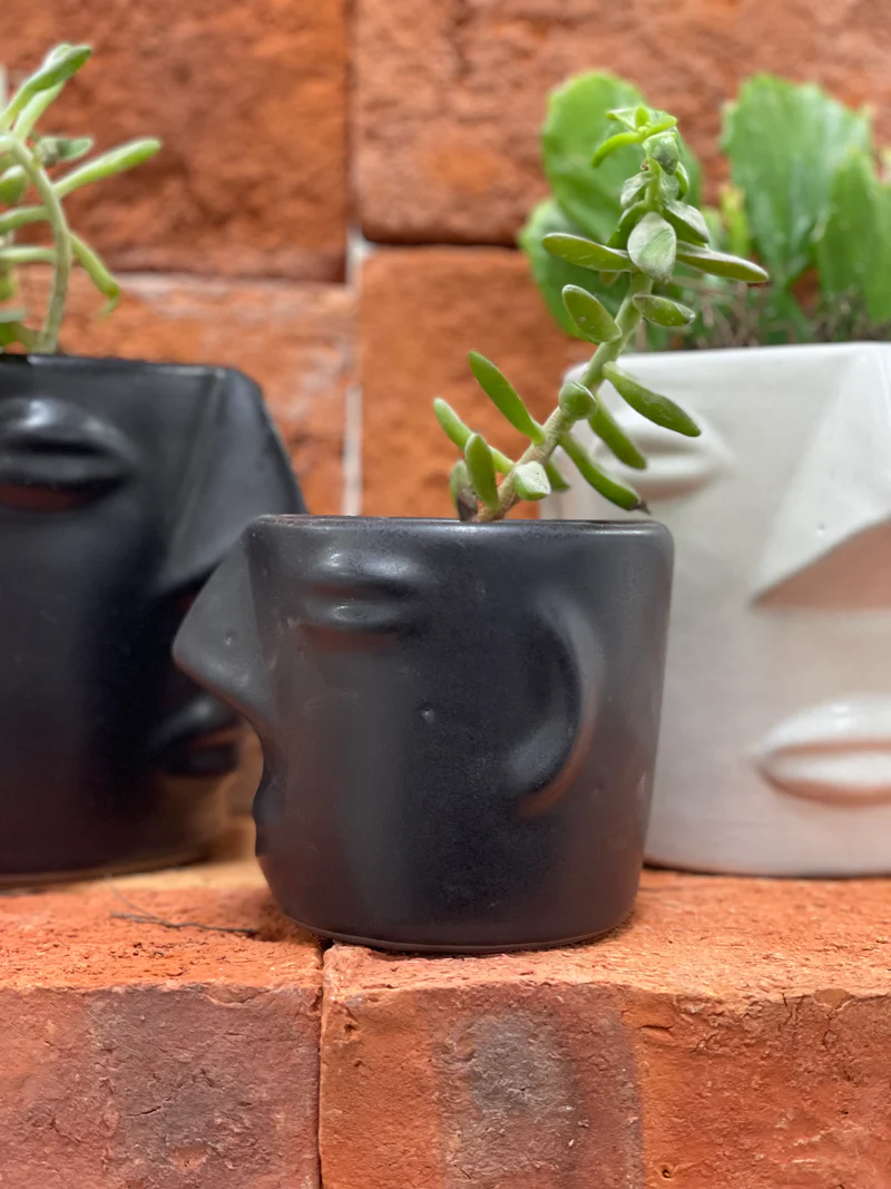 Cara Face Planters by Clay Imports