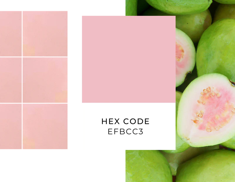 Pink guava tile shade and hex code by Clay Imports