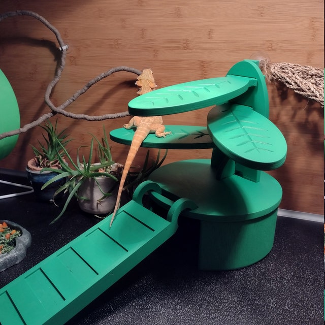 Perch & Hide Cave for Pet Reptiles