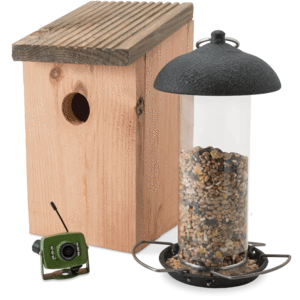 small camera for bird box