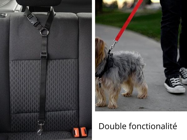 Attache chien voiture – Fit Super-Humain