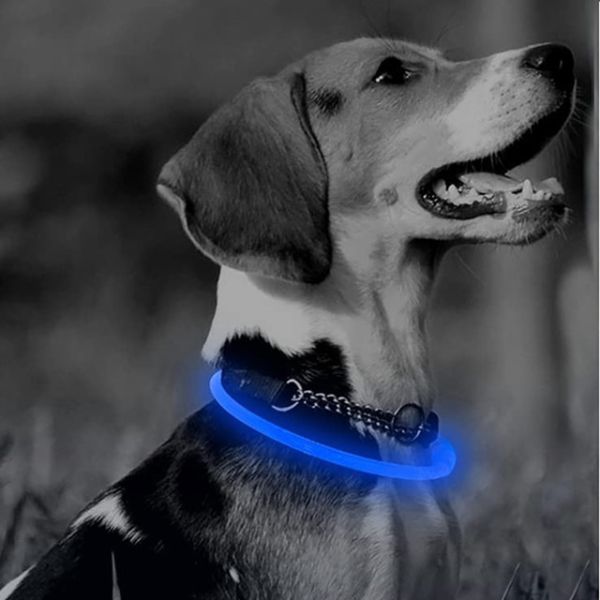 Collier anti-perte lumineux Led pour chien