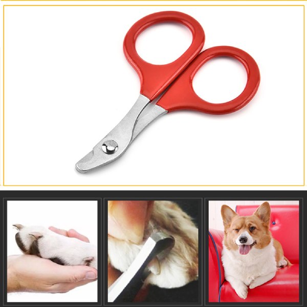 Coupe-ongles professionnel pour chat, pour petit chien