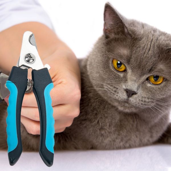 Coupe-ongles professionnel avec faucille pour chiens et chats