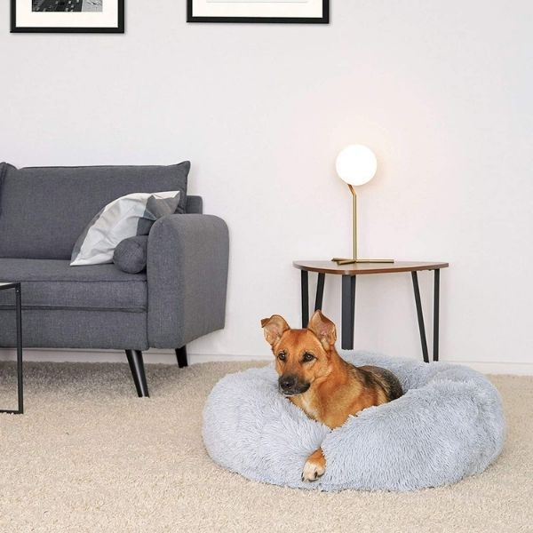 Coussin anti stress pour chien