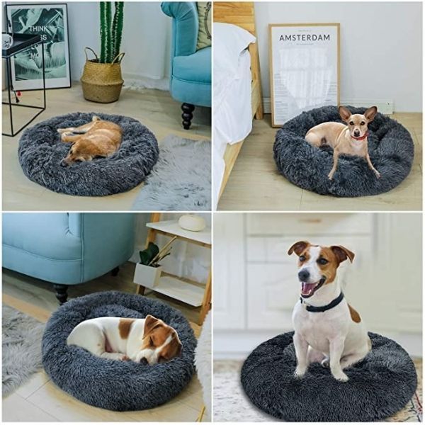 Coussin anti stress pour chien