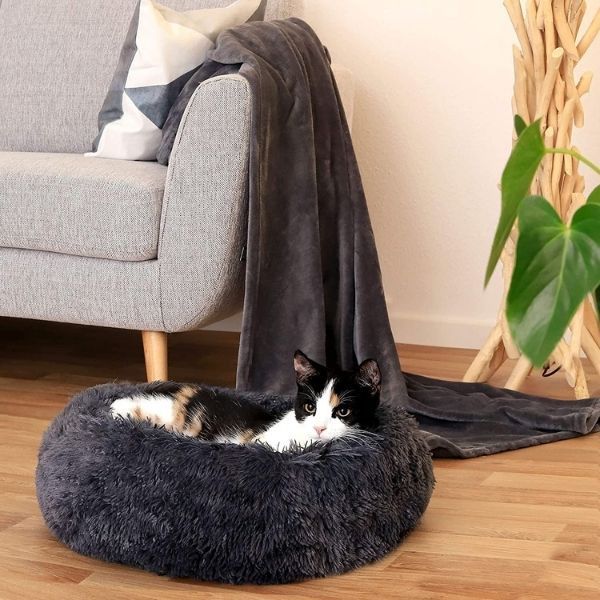 coussin anti stress pour chien